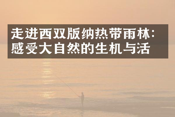 走进西双版纳热带雨林：感受大自然的生机与活力