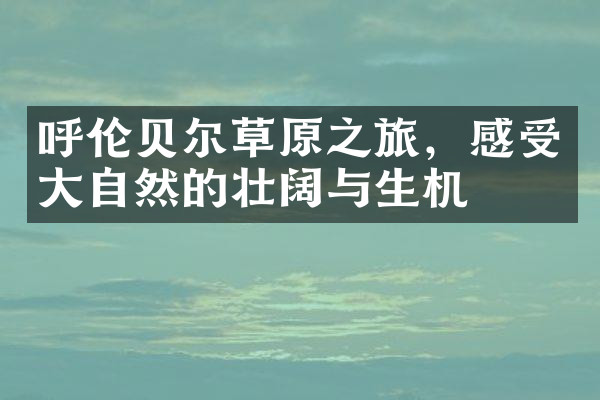 呼伦贝尔草原之旅，感受大自然的壮阔与生机