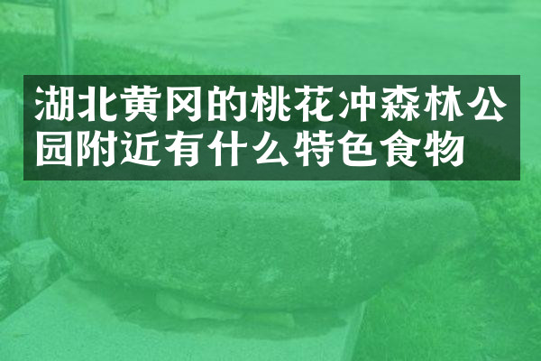 湖北黄冈的桃花冲森林公园附近有什么特色食物吗