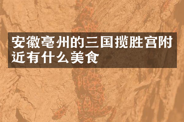 安徽亳州的三国揽胜宫附近有什么美食
