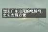 想去广东汕尾的龟龄岛，怎么去最方便