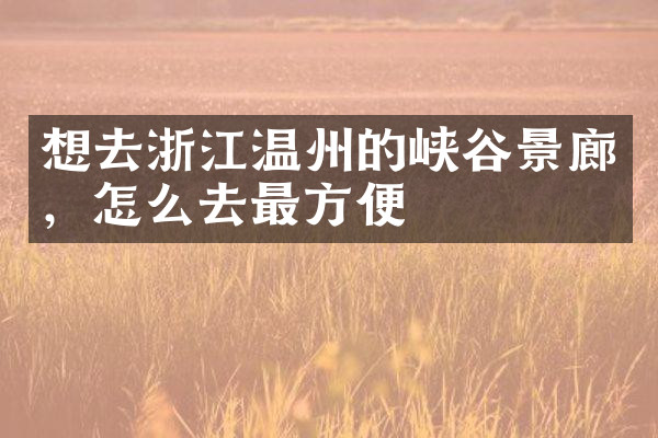 想去浙江温州的峡谷景廊，怎么去最方便
