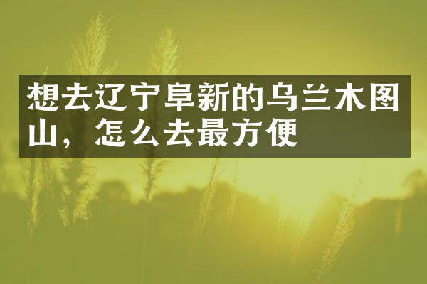 想去辽宁阜新的乌兰木图山，怎么去最方便