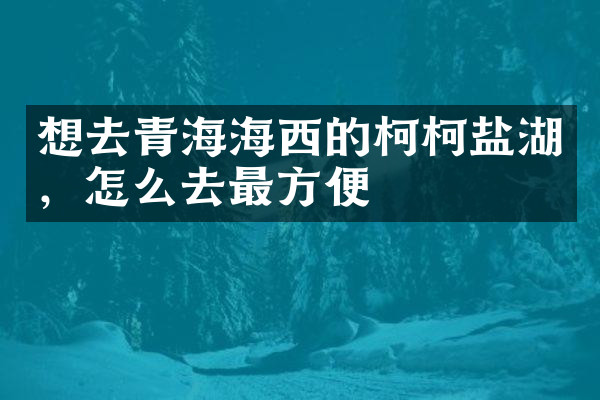 想去青海海西的柯柯盐湖，怎么去最方便
