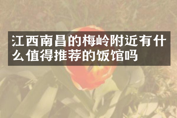 江西南昌的梅岭附近有什么值得推荐的饭馆吗