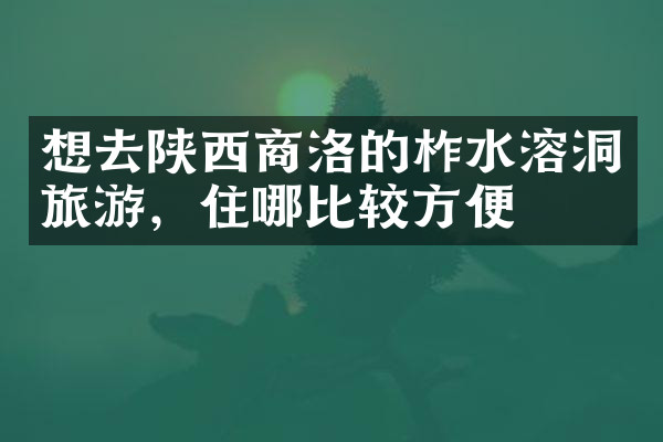 想去陕西商洛的柞水溶洞旅游，住哪比较方便