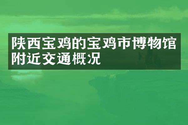 陕西宝鸡的宝鸡市博物馆附近交通概况