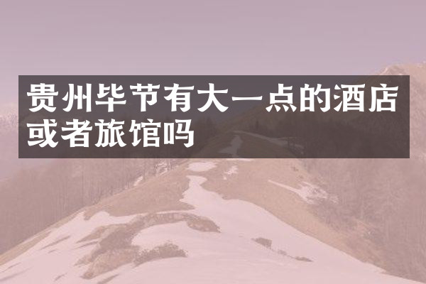 贵州毕节有大一点的酒店或者旅馆吗