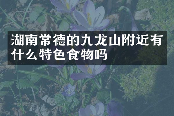 湖南常德的九龙山附近有什么特色食物吗