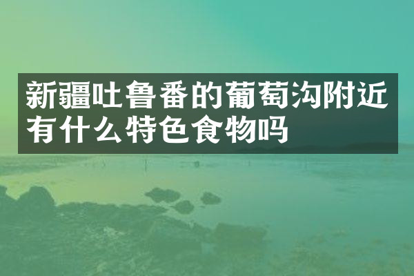 新疆吐鲁番的葡萄沟附近有什么特色食物吗