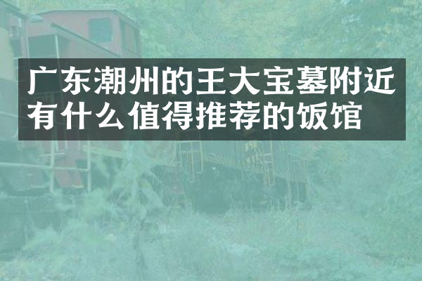 广东潮州的王大宝墓附近有什么值得推荐的饭馆吗