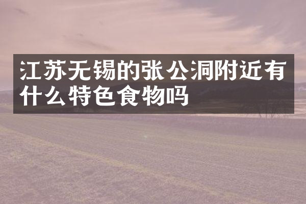 江苏无锡的张公洞附近有什么特色食物吗