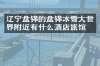 辽宁盘锦的盘锦冰雪大世界附近有什么酒店旅馆吗