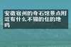 安徽宿州的奇石馆景点附近有什么不错的住的地方吗