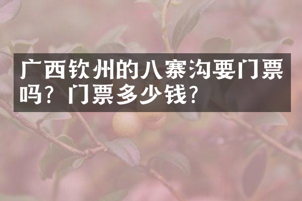 广西钦州的八寨沟要门票吗？门票多少钱？