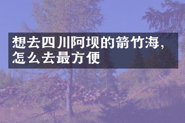 想去四川阿坝的箭竹海，怎么去最方便