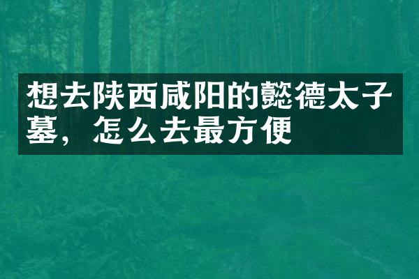 想去陕西咸阳的懿德太子墓，怎么去最方便
