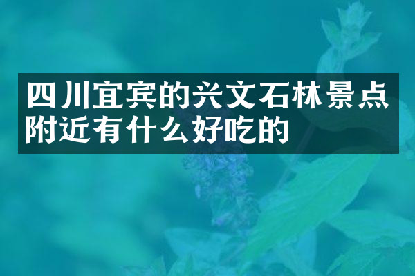四川宜宾的兴文石林景点附近有什么好吃的