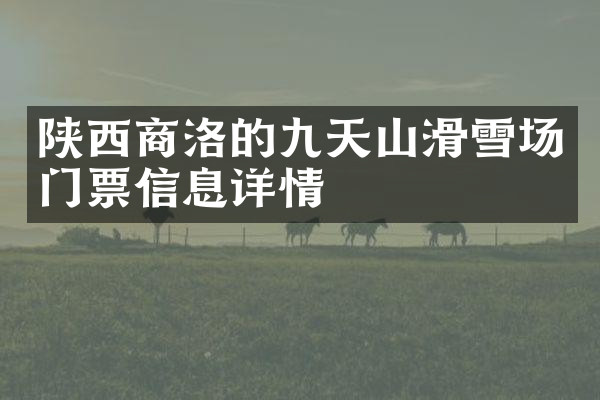 陕西商洛的九天山滑雪场门票信息详情