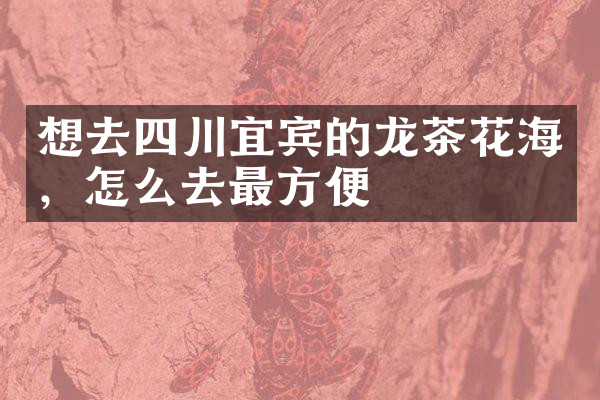 想去四川宜宾的龙茶花海，怎么去最方便