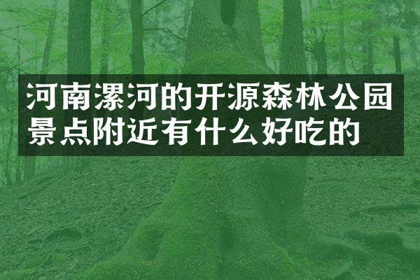 河南漯河的开源森林公园景点附近有什么好吃的