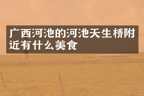 广西河池的河池天生桥附近有什么美食