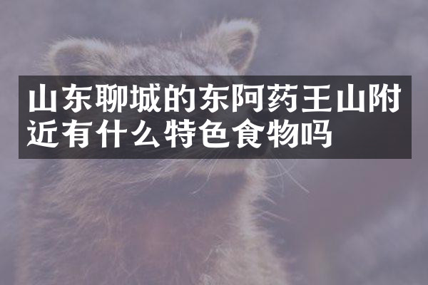 山东聊城的东阿药王山附近有什么特色食物吗