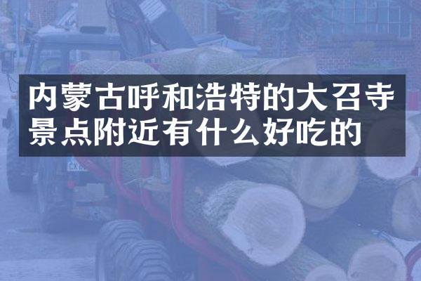 内蒙古呼和浩特的大召寺景点附近有什么好吃的