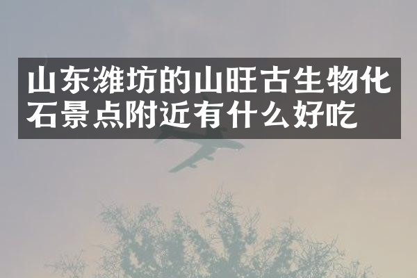 山东潍坊的山旺古生物化石景点附近有什么好吃的