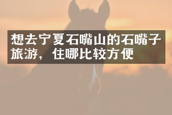 想去宁夏石嘴山的石嘴子旅游，住哪比较方便