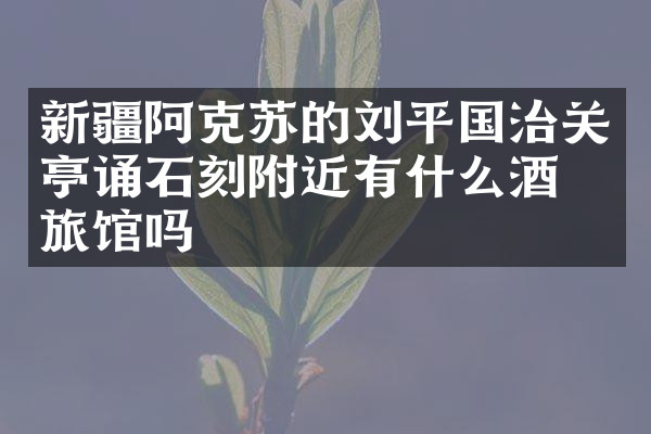 新疆阿克苏的刘平国治关亭诵石刻附近有什么酒店旅馆吗