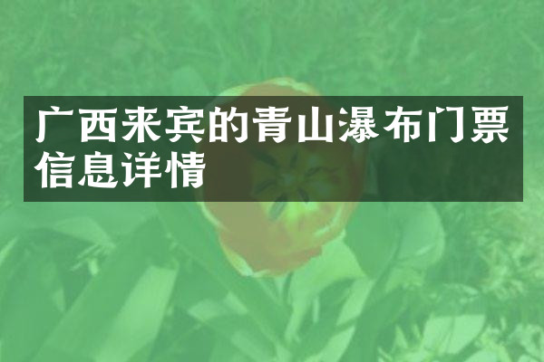 广西来宾的青山瀑布门票信息详情