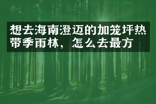 想去海南澄迈的加笼坪热带季雨林，怎么去最方便