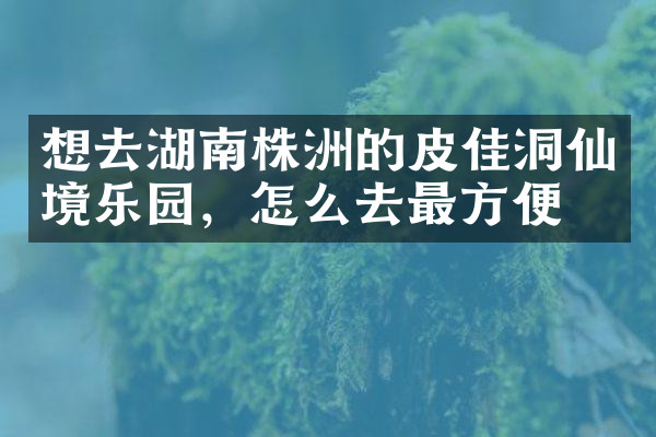 想去湖南株洲的皮佳洞仙境乐园，怎么去最方便