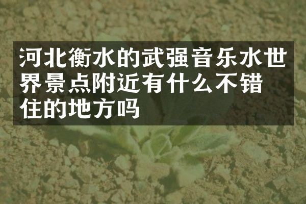 河北衡水的武强音乐水世界景点附近有什么不错的住的地方吗