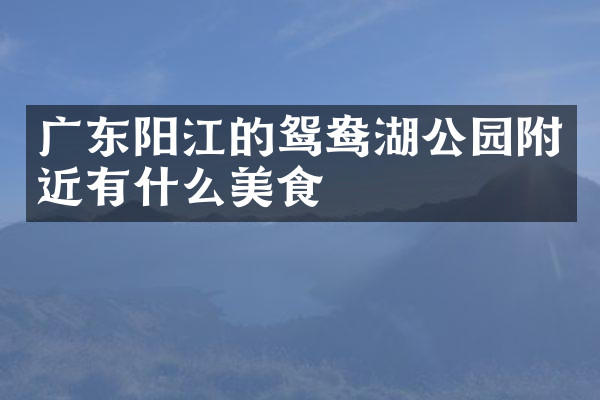 广东阳江的鸳鸯湖公园附近有什么美食