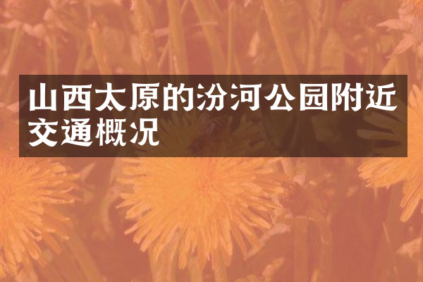 山西太原的汾河公园附近交通概况