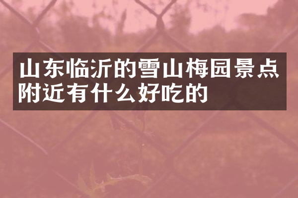 山东临沂的雪山梅园景点附近有什么好吃的