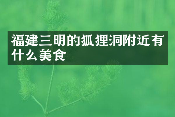 福建三明的狐狸洞附近有什么美食