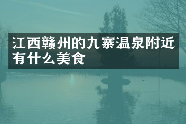 江西赣州的九寨温泉附近有什么美食