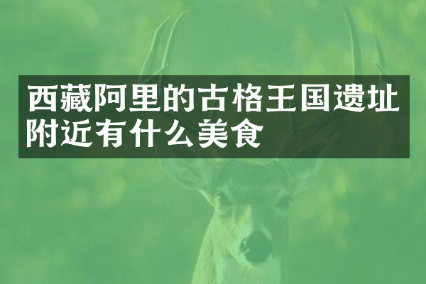 西藏阿里的古格王国遗址附近有什么美食