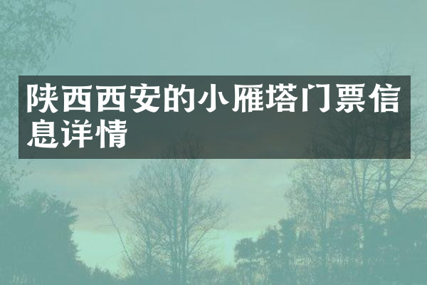 陕西西安的小雁塔门票信息详情