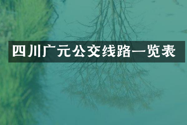 四川广元公交线路一览表