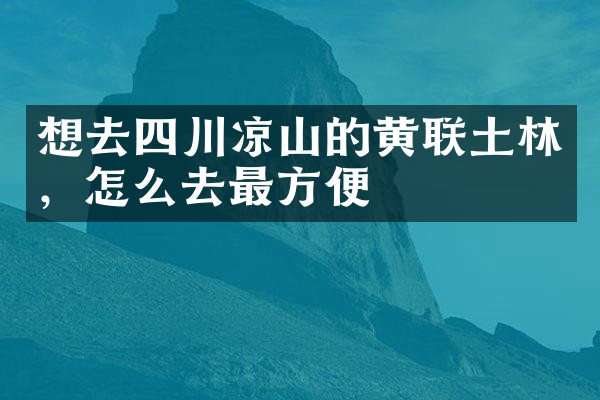 想去四川凉山的黄联土林，怎么去最方便