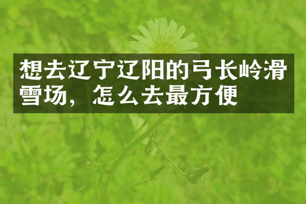 想去辽宁辽阳的弓长岭滑雪场，怎么去最方便