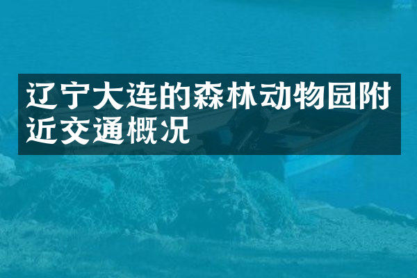 辽宁大连的森林动物园附近交通概况