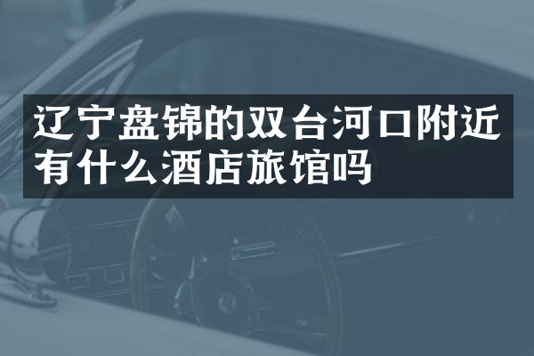 辽宁盘锦的双台河口附近有什么酒店旅馆吗