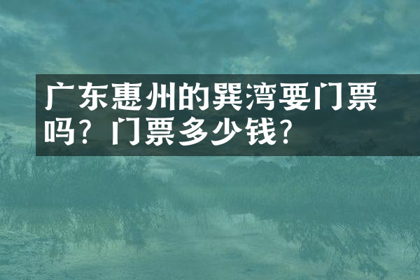 广东惠州的巽竂湾要门票吗？门票多少钱？