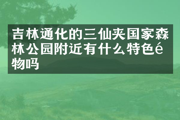 吉林通化的三仙夹国家森林公园附近有什么特色食物吗