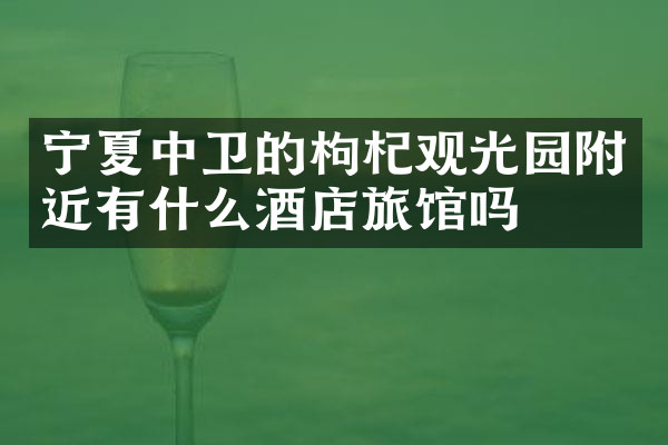 宁夏中卫的枸杞观光园附近有什么酒店旅馆吗